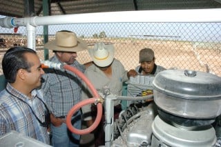 La generación de energía eléctrica a través de excretas de vaca es una realidad en el ejido de Batopilas, además próximamente lo será en otros ejidos de la Comarca Lagunera.