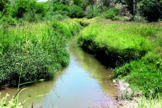 Los productores de algodón están exigiendo que para el próximo ciclo agrícola se incremente la vigilancia en los módulos de riego para evitar casos de corrupción o desvíos de agua.