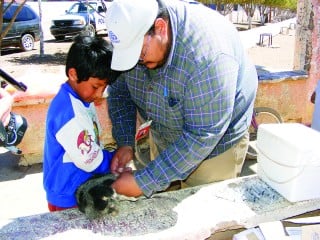 Este niño pone el ejemplo de llevar a su mascota a vacunar al módulo de la Clínica de Salud de Victoria.