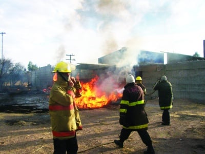 Los incendios de pastizales y bosques causan severos daños al entorno.