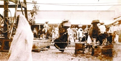 
1- SAQUEO. Lavandería china ubicada en Ramón Corona e Hidalgo, atrás del Hotel Calvete; foto tomada el día de la matanza por Gustavo G. Fernández Ríos. Archivo UIA.

2-HORTELANO. La estatua se inauguró hace un año en el primer acto público de desagravio a la comunidad.
