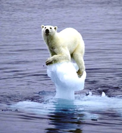 Los científicos manifiestan que el aumento de temperaturas está dentro del nivel que, según los expertos, conduciría a una gran pérdida de la biodiversidad, el deshielo de las capas polares y otras consecuencias adversas en la naturaleza.