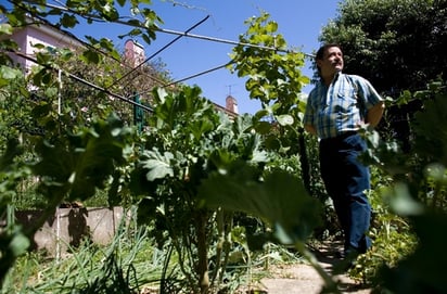 Crisis. Porfirio Carvalho trabaja en un café y los domingos atiende la huerta de unos vecinos.  AP