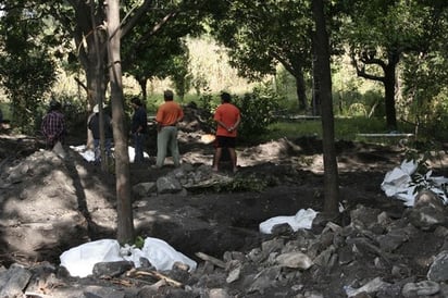 El traslado. A la ex hacienda 'La Barranca', en  Querétaro, le hacía falta algo: un bosque de nogales. La empresa Vivero Siempre Verde se dio a la tarea de subsanar la falla: con tecnología de punta, trasplantó una decena de árboles de una huerta en Guanajuato .  EL UNIVERSAL