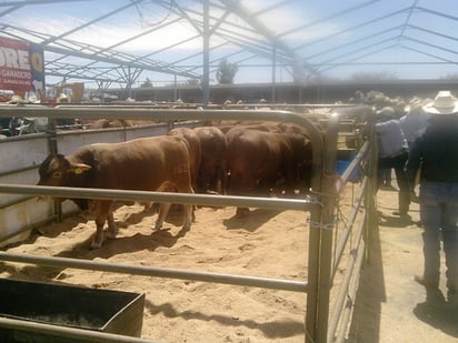 Aprobación. La delegación de la Sagarpa ve con buenos ojos el proyecto de la Ciudad Industrial Pecuaria.  DANIEL ESTRADA / EL SIGLO DE DURANGO 