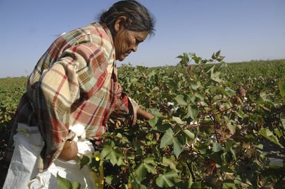 Participativas. Cada vez más mujeres se hacen cargo de comunidades ejidales en el país, de acuerdo con los registros de la SRA a nivel nacional.