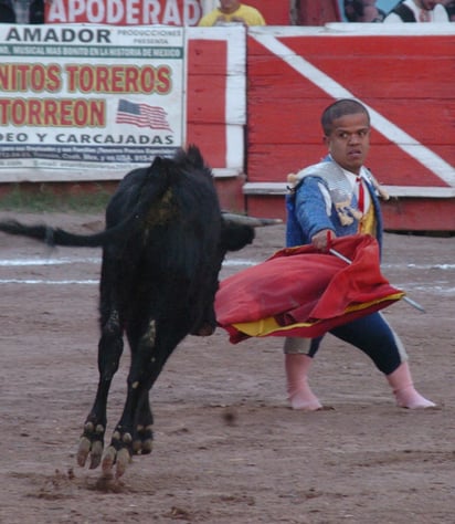 Pequeños pero grandes en talento son los Enanitos Toreros de Torreón, que esta tarde se presentarán en la Plaza de Toros Salvador Barrera de Lerdo. Además, habrá competencia de rodeo y variedad artística.