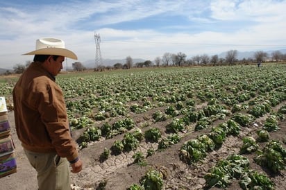 Fraude. Anastacio Torres Mesta autorizó a representantes de Impulsora Rural México para que cobraran un dinero ajeno.  EL SIGLO DE TORREÓN / SANDRA SILVA