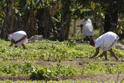 Muy trabajadoras. De acuerdo a la CEPAL una mujer mexicana de zona rural labora en promedio 89 horas semanales.  NOTIMEX