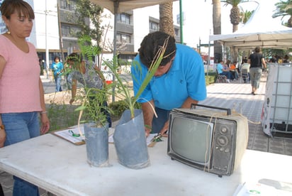 Especies. Hay renuencia de la ciudadanía a aceptar las especies nativas para plantarlas en sus casas.