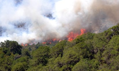 El incendio fue en las inmediaciones de la Comunidad de Ciénaga de la Purísima del Cañón de Jamé; se desconoce aún la superficie afectada.