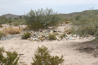 Zona protegida. La Sierra El Sarnoso cuenta con especies endémicas que deben ser protegidas.