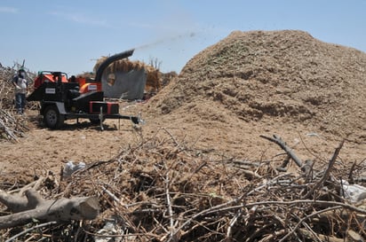 Destrucción. La segunda trituradora ya se encuentra operando para disminuir la cantidad de troncos y ramas en depósitos.