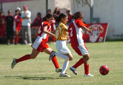 Diferentes colegios de la Comarca Lagunera de Durango se enfrentarán en canchas de futbol siete. Arranca la Copa Coca Cola 2011 en el Instituto Francés