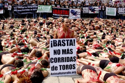 Durante la protesta, de la que fueron testigos decenas de personas que se acercaron al lugar mientras disfrutaban del paseo dominical, se corearon temas como 'La tortura no es arte', 'No a las tradiciones crueles' o 'Ponte en la piel del toro'.

