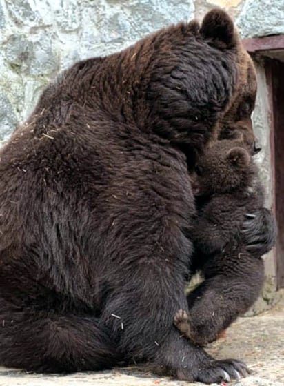 Mamá osa disciplina a su hijo y después lo abraza