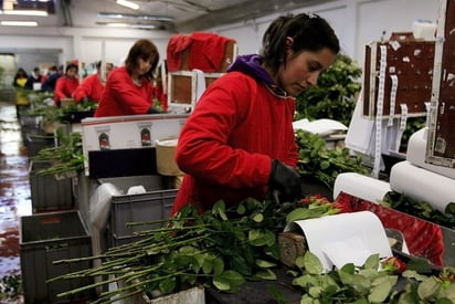 Más cupos. Abren cupos para vencer en Europa productos mexicanos como flores, miel, atún y jugos. (EFE)