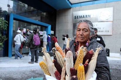 Campesinas. Hoy 15 de octubre se celebra el Día Internacional de la Mujer Rural. De acuerdo a la CNDH urgen mayores apoyos técnicos y de crédito para las mujeres del campo.