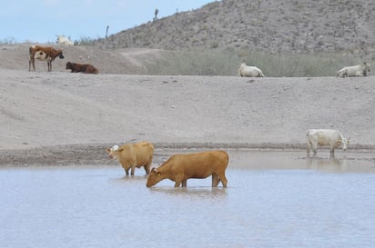 Inoperantes. Las obras del programa Pequeñas Obras Hidráulicas, se encuentran sin aprovechamiento, debido a que su objetivo es almacenar el agua de lluvia.