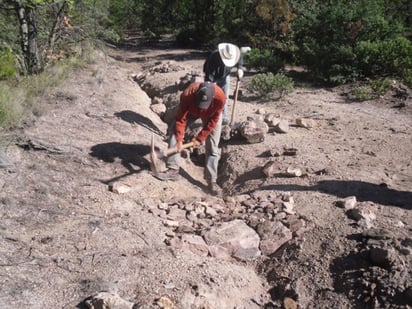 Estas actividades se realizaron durante los mese de octubre 2012, a marzo del 2013, lo cual muestra el compromiso que han asumido los ejidos beneficiados hacia la conservación y restauración de la Cuenca Alta del Nazas. (ARCHIVO)
