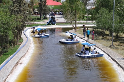 MANTENIMIENTO. Se tratarán químicamente las algas que aparecieron en el fondo del lago. 