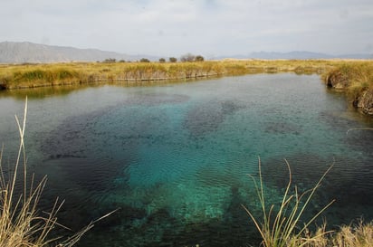 Protegida. Cuatro Ciénegas fue declarada como zona reglamentada y quien realice nuevos pozos para sacar agua, obtendrá una multa de cinco hasta 20 mil salarios mínimos.