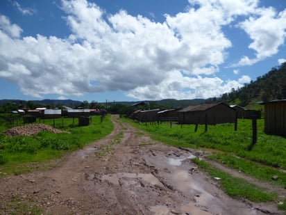 Documentación. En el estado de Durango hay 11 núcleos agrarios que no están regularizados.