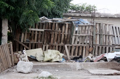 Ataque. Lo realizaron tres perros de la raza Pitbull, en Andador 1 esquina con bulevar Sarabia de la colonia Lucio Cabañas.