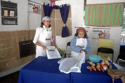 Trabajadoras. Lamenta la OTI el poco interés de los legisladores por establecer leyes para las trabajadoras domésticas.