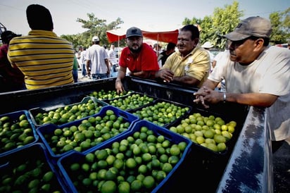 Retoman actividades.  Elementos de la Policía Federal resguardan el tianguis del Limón donde se lleva a cabo la compra y venta de este producto.