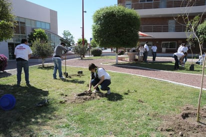 Plantar. El proyecto se desarrollará en septiembre.