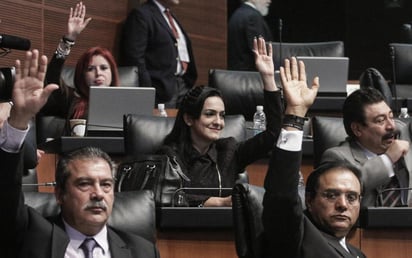 Votación. La senadora izquierdista Iris Vianey Mendoza (c) durante su participación en una sesión en la Cámara alta, en Ciudad de México.