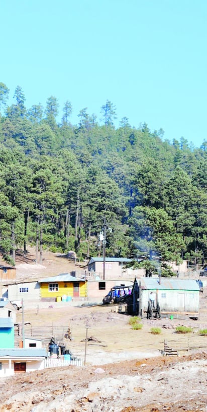 Clima. En la Rosilla de Guanaceví siguen presentándose bajas temperaturas, la mañana del sábado fue de menos uno.