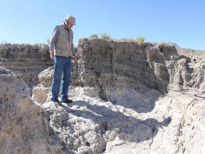 Trascendente. La diversidad de los grupos de organismos encontrados en las paleopozas fue tan grande que resultó necesario de formar un grupo internacional de investigadores.