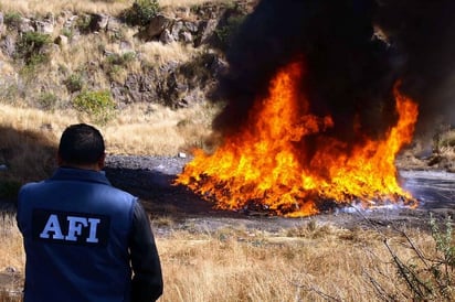 Incineran. La droga se encontró en los estados de Baja California, Nayarit, Nuevo León y Zacatecas.