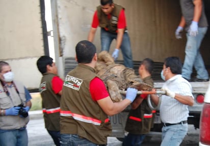 En comparecencia en el Senado, legisladores reclaman al ombudsman Raúl Plascencia falta de atención a víctimas; éste señala que esclarecer la masacre de migrantes tardará años, incluso lustros. (Archivo)