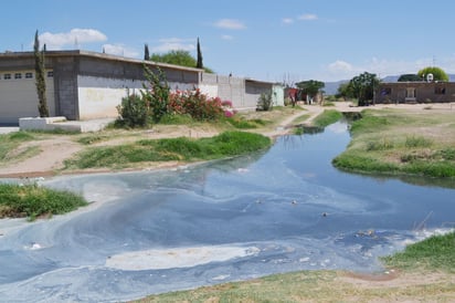 Brote. Vecinos del ejido Congregación Hidalgo viven entre aguas negras y fétidos olores, vecinos aseguran que Simas rural no responde. ((EL SIGLO DE TORREÓN / NORMA IBARRA)