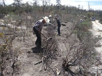 Siguen adelante. Ejidatarios continúan con las labores en la Cuenca Alta para la conservación del suelo y el agua.