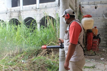 Dengue. Tamaulipas, entre los más afectados.