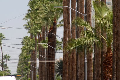 Reemplazo. La empresa Construlita colocará esta semana las primeras luminarias con tecnología led en algunas colonias de Torreón.