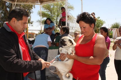 Vacunación. A partir de mañana y hasta el tres de octubre, se visitarán varios sectores  para vacunar a las mascotas.