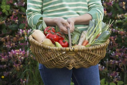 Los efectos positivos de una mayor cantidad de frutas y verduras son más fuertes en las mujeres, aunque se desconoce por qué tienen una mayor influencia en las féminas. (ARCHIVO)