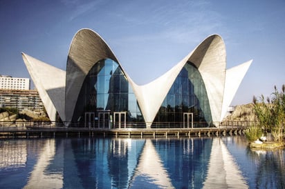 L'Oceanogràfic, Ciudas de las Artes y las Ciencias, España, 2002. (Foto: Felipe Gabaldón)