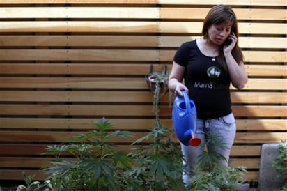 Paulina Bobadilla riega las plantas. (AP)