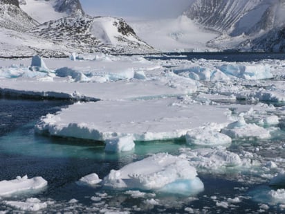 Se ha visto afectado por el cambio climático originado por la actividad humana más que cualquier otra zona del planeta. 