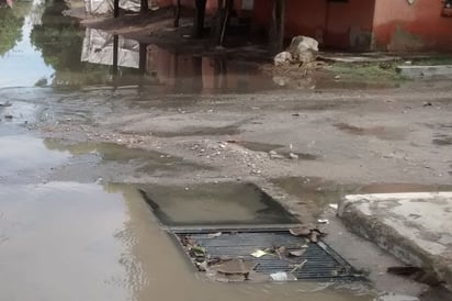 Agua sucia. El brote se presenta en las calles Zacatecas y Margaritas de la colonia Rosales del municipio de Lerdo.