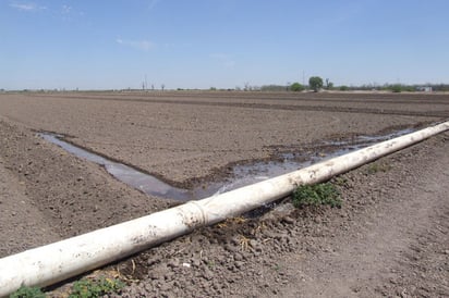 Permiso. Reitera la Sagarpa que los productores laguneros tienen que registrarse ante el nuevo Permiso Único de Siembra.