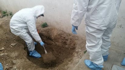 En el sitio se aseguraron 22 cargadores calibre .223, mil 483 cartuchos calibre .223, cuatro capuchas y una granada de fragmentación. (EL SIGLO DE TORREÓN)