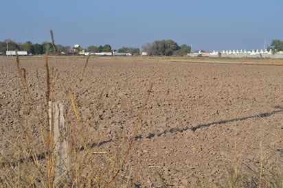 Ayuda. Productores podrán volver a recibir incentivos para elevar la productividad del campo lagunero.