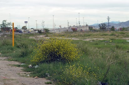 Donación. Fue el año pasado cuando el municipio de Gómez Palacio otorgó un terreno de tres hectáreas para la construcción. (RAMÓN SOTOMAYOR)